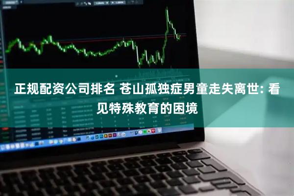 正规配资公司排名 苍山孤独症男童走失离世: 看见特殊教育的困境